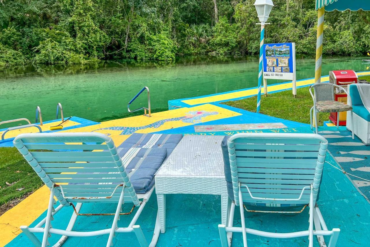 Pams Mermaid House With Riverfront Yard And Lanai! Lejlighed Weeki Wachee Eksteriør billede