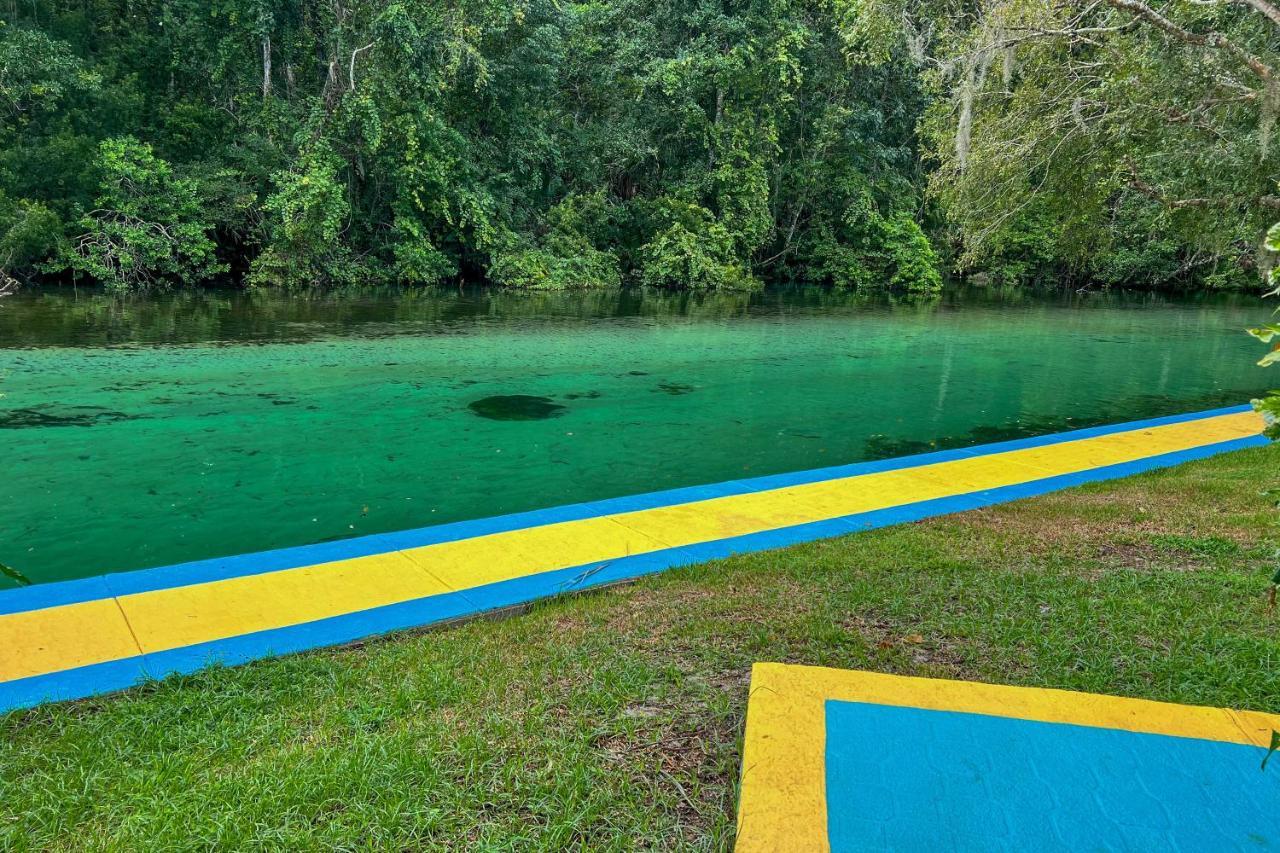 Pams Mermaid House With Riverfront Yard And Lanai! Lejlighed Weeki Wachee Eksteriør billede
