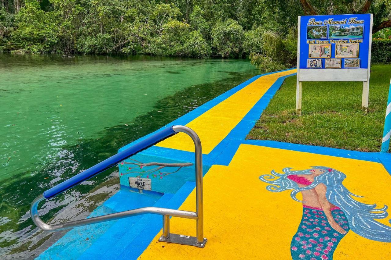 Pams Mermaid House With Riverfront Yard And Lanai! Lejlighed Weeki Wachee Eksteriør billede