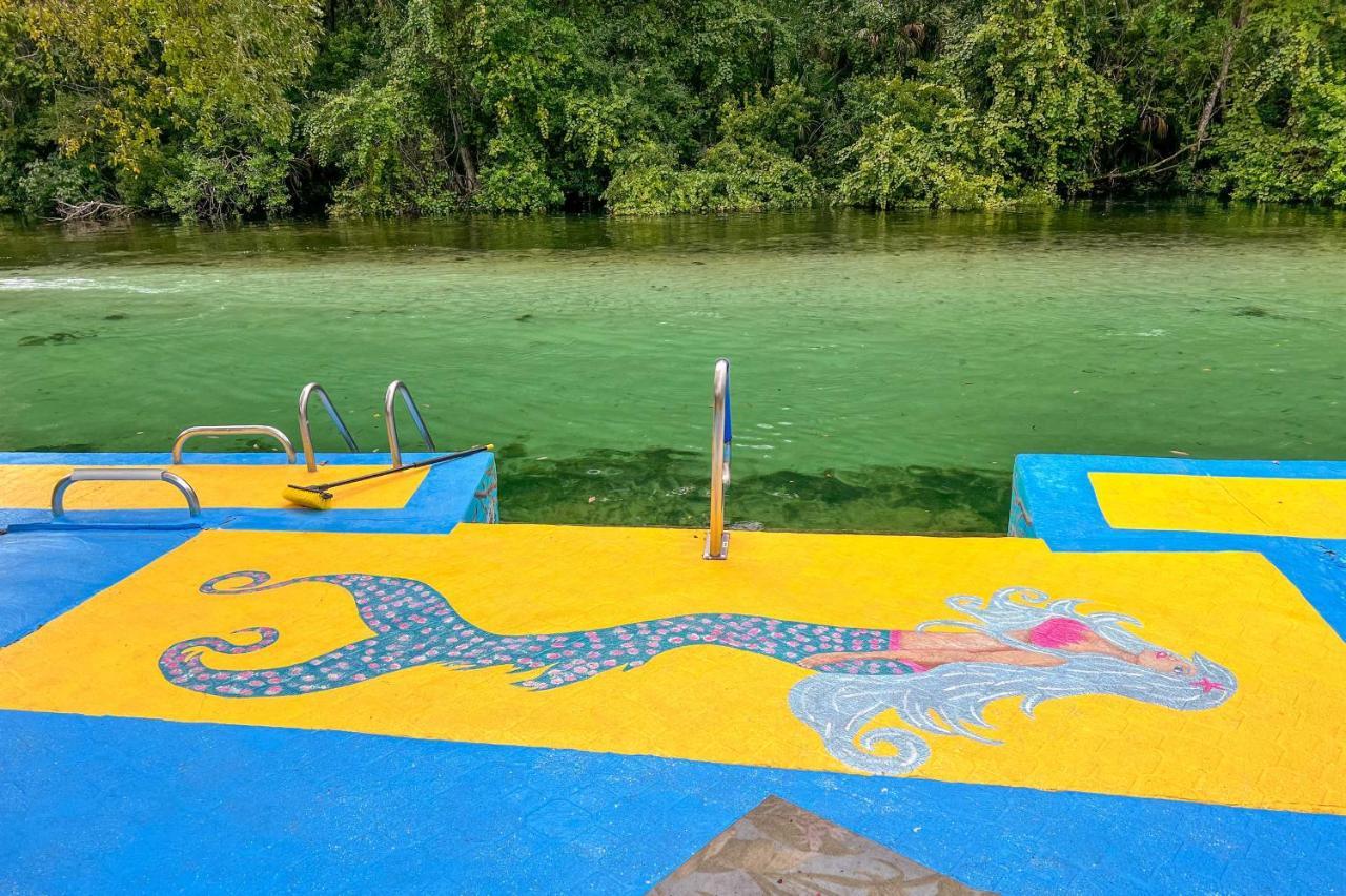Pams Mermaid House With Riverfront Yard And Lanai! Lejlighed Weeki Wachee Eksteriør billede