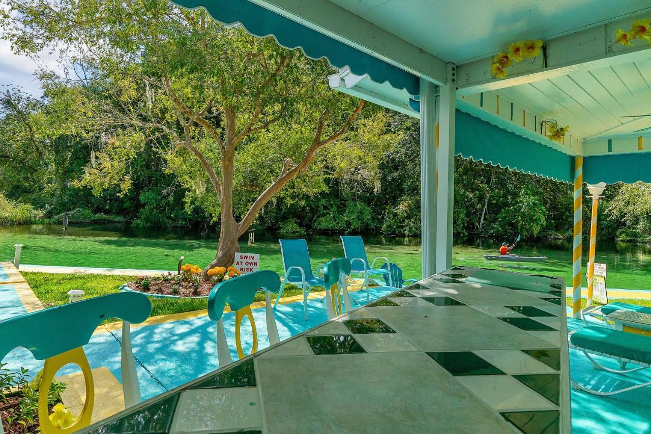 Pams Mermaid House With Riverfront Yard And Lanai! Lejlighed Weeki Wachee Eksteriør billede