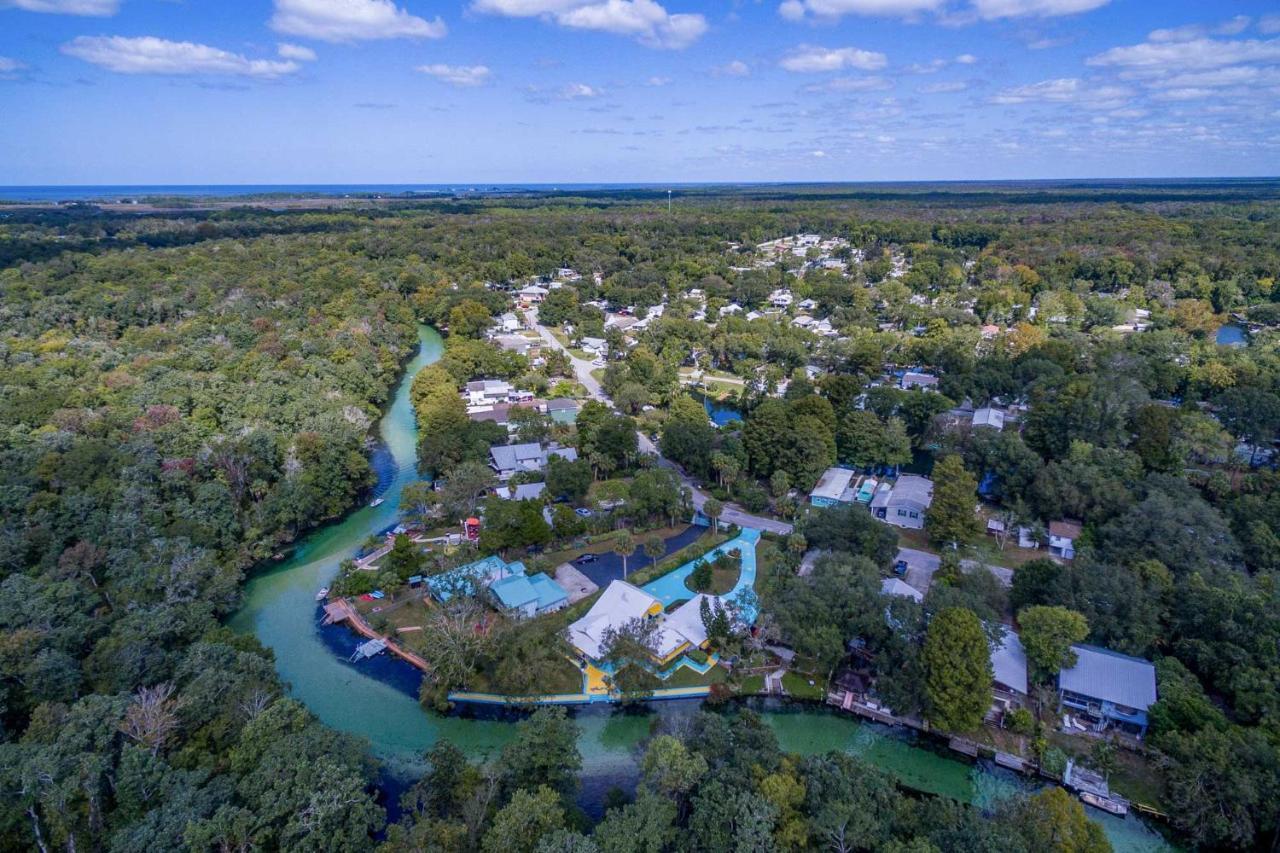 Pams Mermaid House With Riverfront Yard And Lanai! Lejlighed Weeki Wachee Eksteriør billede